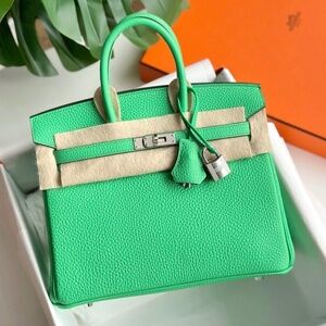 Hermes Birkin 25 bag